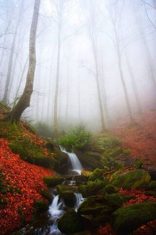 Mystical Waters of Bursa Suuctuselalesi 🌲💧