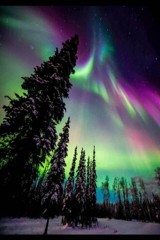 Aurora's Dance: Nature's Light Show 🌌✨