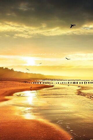 Golden Horizon: A Sunset Serenade 🌅✨