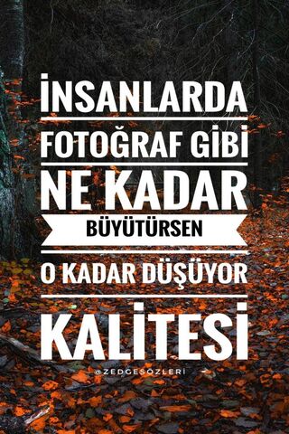 The Depth of Perspective 📸✨