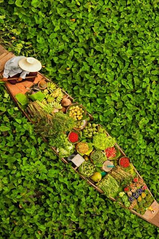 Bounty from the Water: A Floating Market Delight 🌿🚣