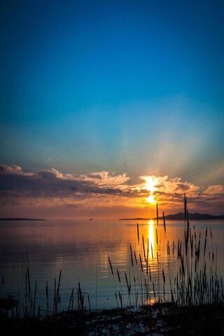 Sunset Sky Grass