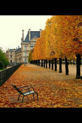 Autumn Embrace: A Love Story in the Park 🍂❤️