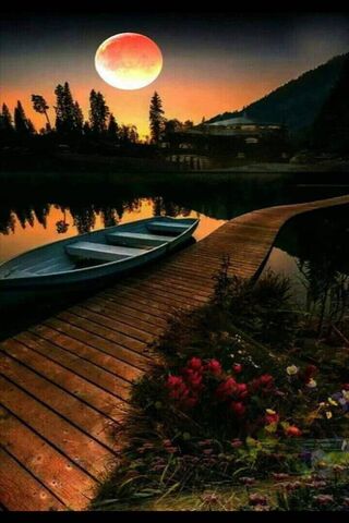 Amor: A Serene Evening Embrace 🌅❤️