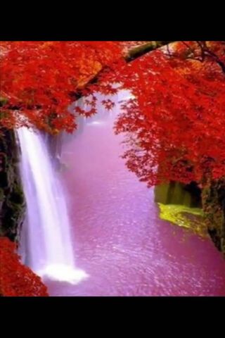 Amo: The Enchanted Cascade 🌸💧