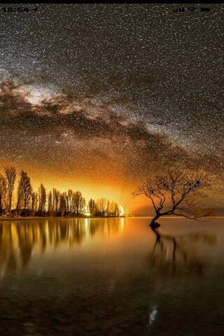 Celestial Serenity: A Tree Beneath the Stars 🌌🌳