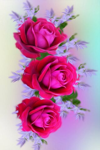 Blossoms of Love: A Ros..