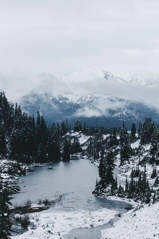 Whispers of Winter: The Snow Stream