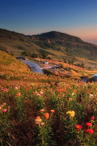 Nature's Gateway: The Huawei Unlock Experience 🌼🌄