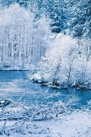 Winter Wonderland: A Serene Escape ❄️🌲