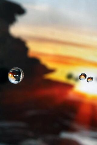 Nature's Tiny Gems: Dew Drops at Dawn 🌅💧
