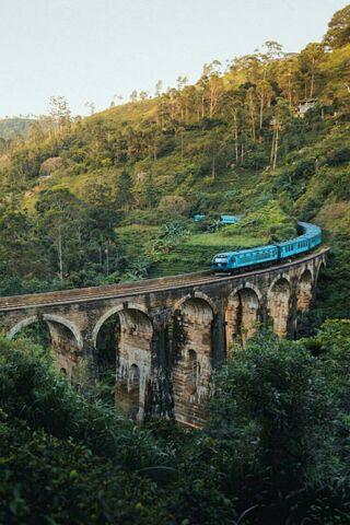 Whispers of Love on the Tracks 🚂💚