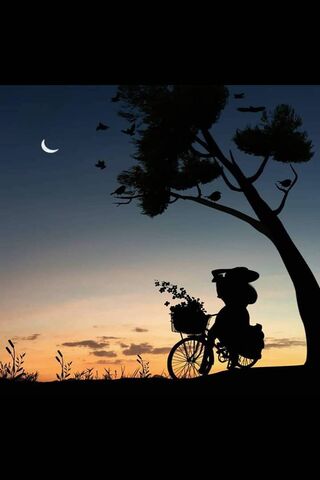 Whispers of Love at Dusk 🌙🚴