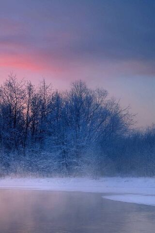 Winter's Embrace: A Serene Escape