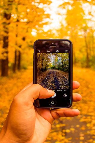 Capturing Fall's Essence 📸🍂