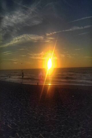 Golden Horizons: A Beach Sunset