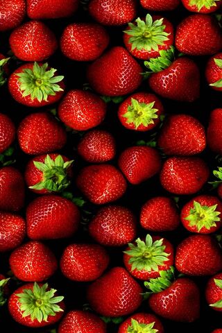 Ozcanates: A Berry Delight 🍓✨