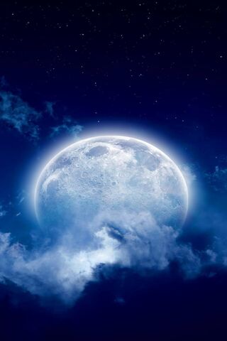 Luminous Night: The Enc..