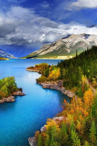 Majestic Serenity: The Beauty of Mayurdhvajsinh