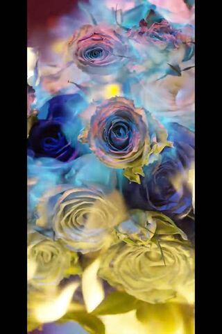 Ethereal Blooms: The Es..