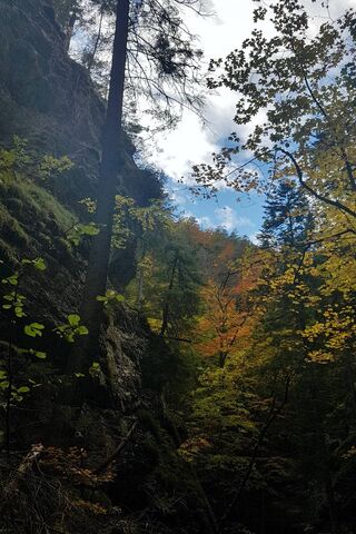 Autumn Serenity in Slovakia's Majestic Mountains 🍂🏞️
