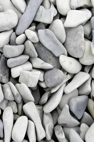 Nature's Mosaic: The Beauty of Grey Stones