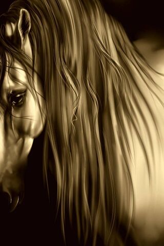 Paige: The Graceful Spirit of the Wild