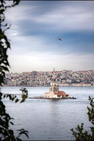 Mystical Reflections of the Blue Tower 🌊🏰