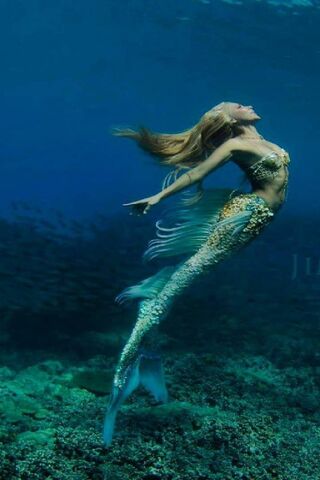 Mysteries of the Deep