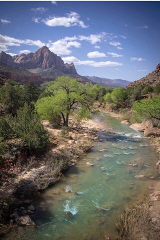 Nature's Masterpiece: Zion Park's Serenity 🌄💧