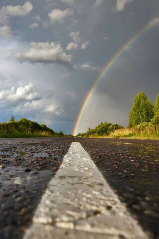 Journey to the Rainbow 🌈