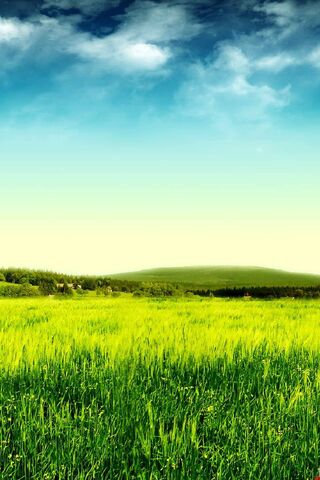 Nature