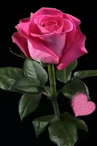 Blossoming Love: The Pi..