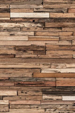 Woody Wonders: A Rustic..