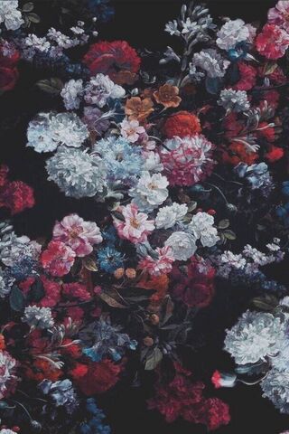 Blooming Elegance: A Fl..