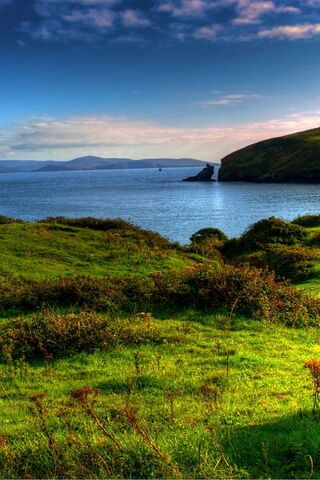 Serenity by the Shore 🌊🌿