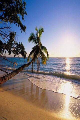 Sunset Serenity 🌅