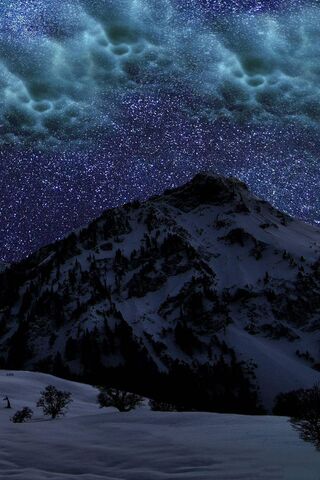 Enchanted Night in Winter Wonderland ✨❄️