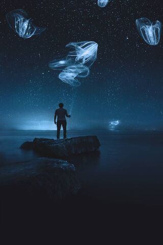 Jellyfish Galaxy
