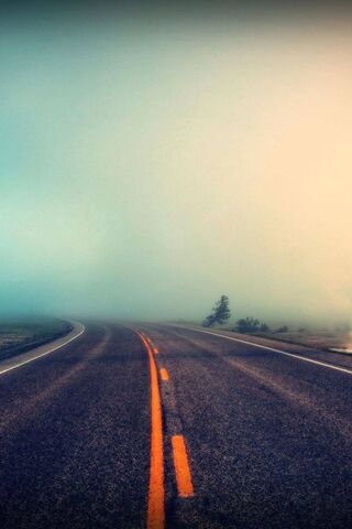 Journey into the Unknown 🌫️🚗
