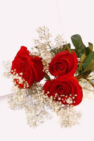 Romantic Blooms: A Touc..