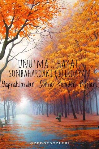 Embrace New Beginnings 🍂✨