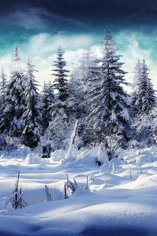 Winter Has Arrived