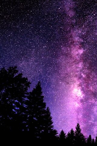 Celestial Dreams: A Journey Through the Sky 🌌✨