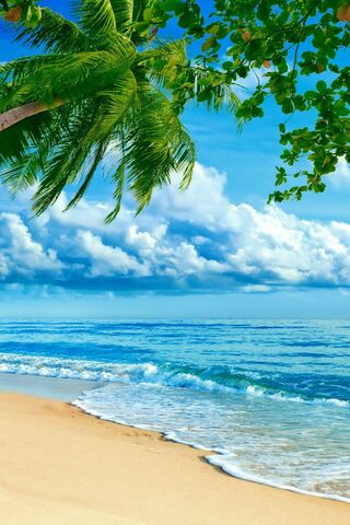 Beach Wallpaper - Download to your mobile from PHONEKY