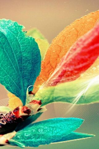 Vibrant Petals of Nature 🌈