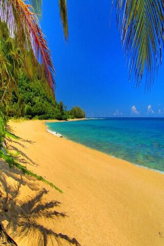 Tropical Paradise Awaits 🌴🌊