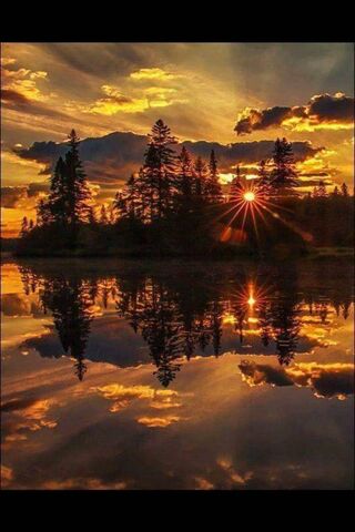 Amor: A Sunset Serenade 🌅❤️