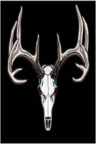 Majestic Buck Antlers: Nature's Crown 🦌✨