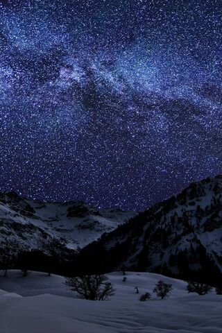 Ozcanates: A Celestial Winter Wonderland ✨❄️